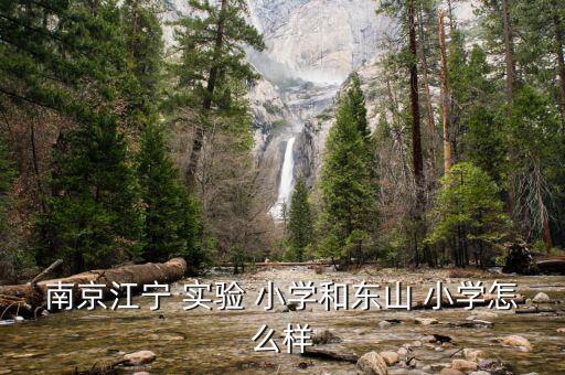 南京江宁 实验 小学和东山 小学怎么样
