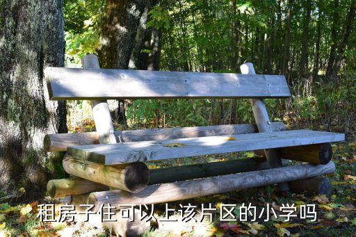 租房子住可以上该片区的小学吗