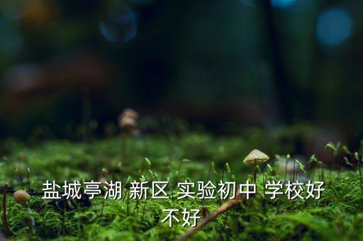  盐城亭湖 新区 实验初中 学校好不好