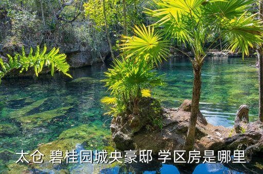 太仓 碧桂园城央豪邸 学区房是哪里