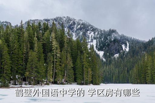 鹤壁外国语中学的 学区房有哪些