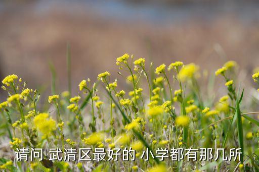 武清杨村十小学区房