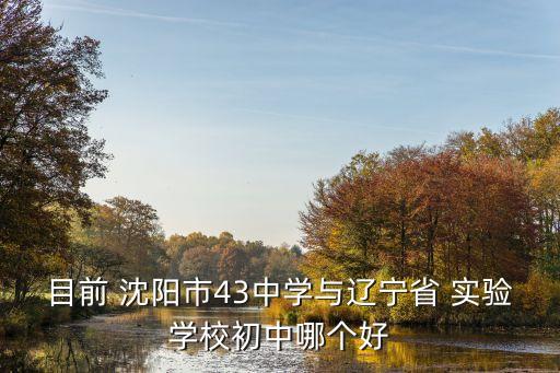 沈阳省实验学区房