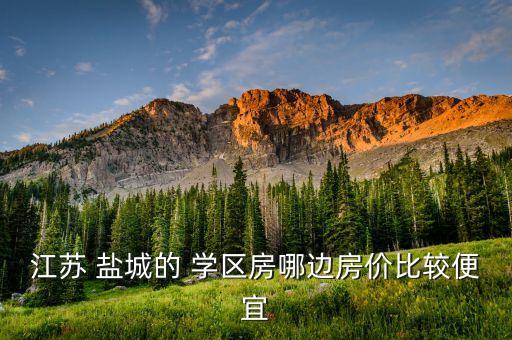 盐城比较好的学区房