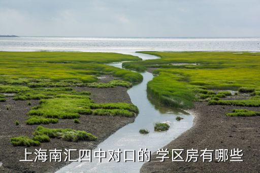 上海学区房买在哪个区