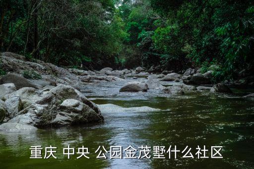 渝北中央公园楼盘学区房