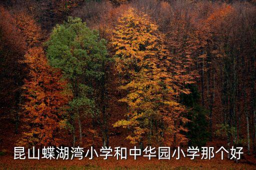 碧桂园吉田国际学区房