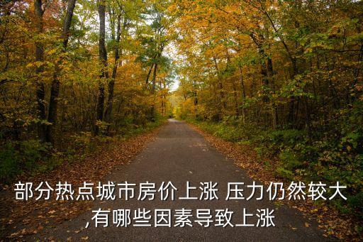 部分热点城市房价上涨 压力仍然较大,有哪些因素导致上涨