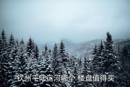  钦州平陆运河哪个 楼盘值得买