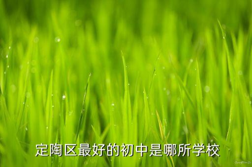  定陶区最好的初中是哪所学校