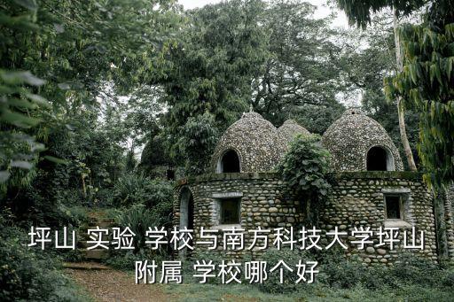 坪山 实验 学校与南方科技大学坪山附属 学校哪个好
