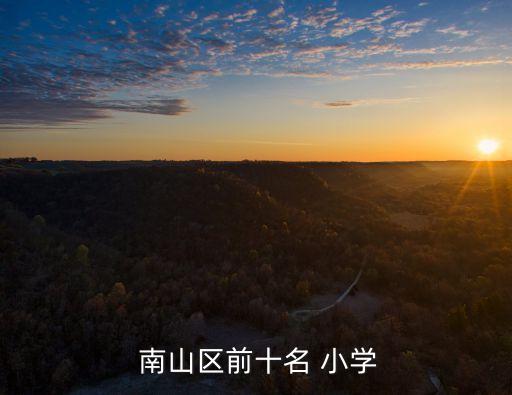 南山学区房小学吗