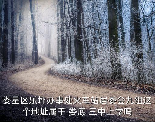 娄底三中三小学区房屋