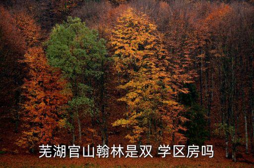 芜湖官山翰林是双 学区房吗