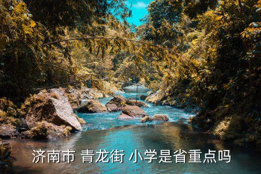  济南市 青龙街 小学是省重点吗