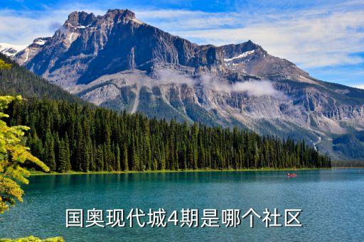  国奥现代城4期是哪个社区