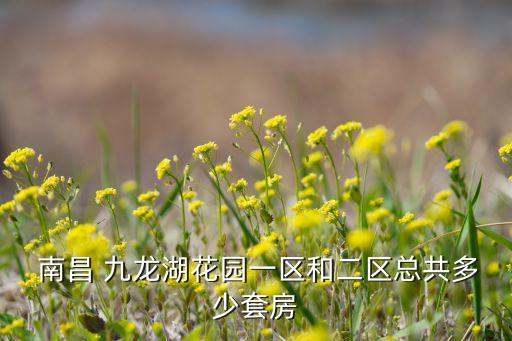  南昌 九龙湖花园一区和二区总共多少套房
