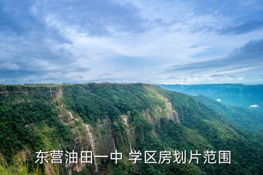 东营有哪些好的学区房