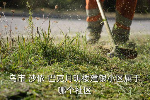 乌市 沙依 巴克月明楼建银小区属于哪个社区