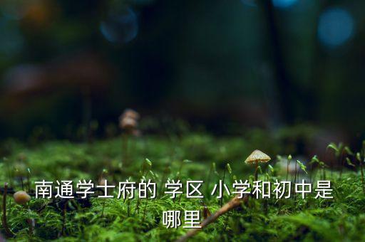  南通学士府的 学区 小学和初中是哪里