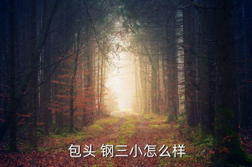  包头 钢三小怎么样