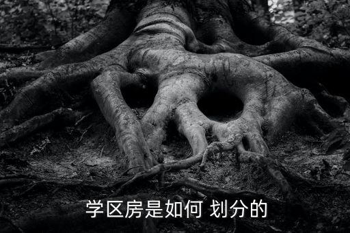  学区房是如何 划分的