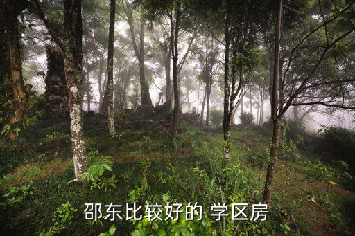 邵东比较好的 学区房