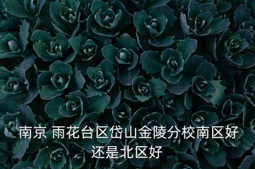  南京 雨花台区岱山金陵分校南区好还是北区好