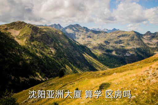  沈阳亚洲大厦 算学 区房吗