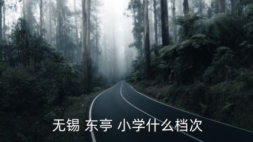  无锡 东亭 小学什么档次