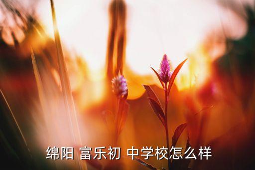  绵阳 富乐初 中学校怎么样