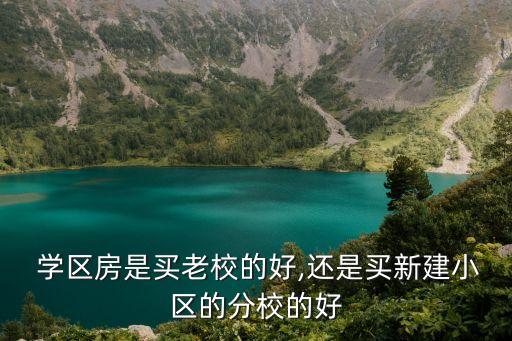  学区房是买老校的好,还是买新建小区的分校的好