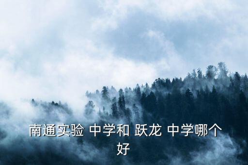  南通实验 中学和 跃龙 中学哪个好