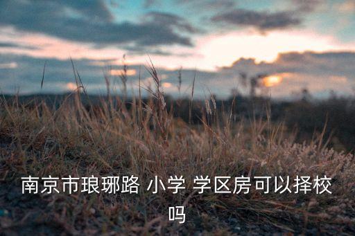 南京市琅琊路 小学 学区房可以择校吗