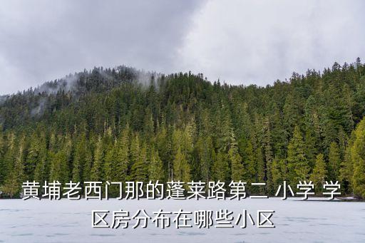 黄浦外国语小学对口学区房
