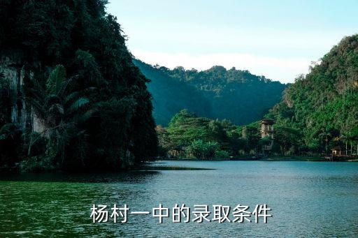 天津杨村一中学区房