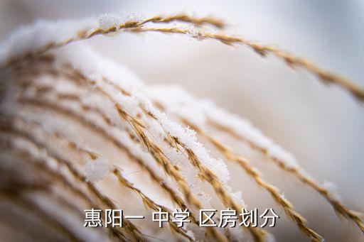 惠州南湖明珠是一中学区房吗