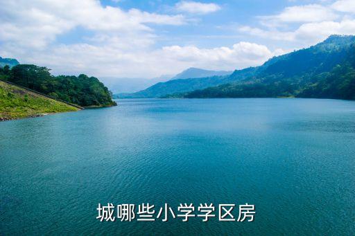 大学城哪些小学学区房