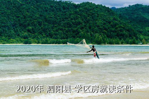 2020年 泗阳县 学区房就读条件