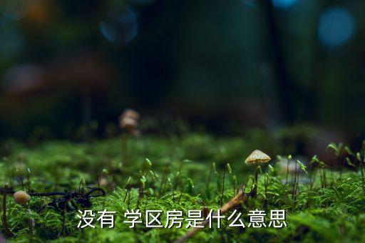没有 学区房是什么意思