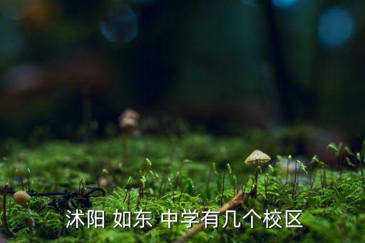  沭阳 如东 中学有几个校区