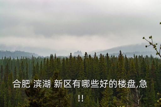 合肥 滨湖 新区有哪些好的楼盘,急!!