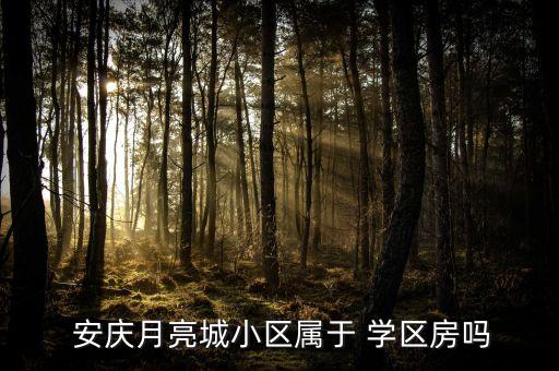  安庆月亮城小区属于 学区房吗