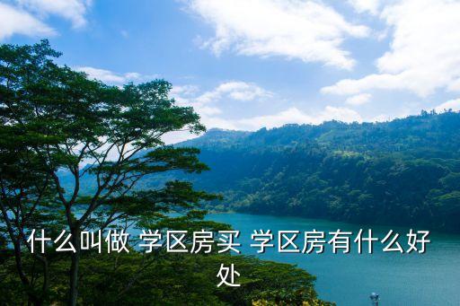 什么叫做 学区房买 学区房有什么好处