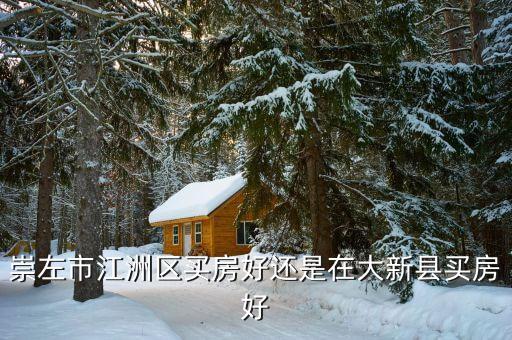 崇左学区房,在沈阳买房还是在大新县买房好!