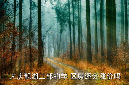  大庆靓湖二部的学 区房还会涨价吗
