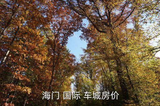  海门 国际 车城房价