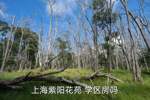 上海紫阳花苑 学区房吗