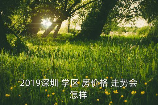2019深圳 学区 房价格 走势会怎样