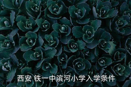  西安 铁一中滨河小学入学条件